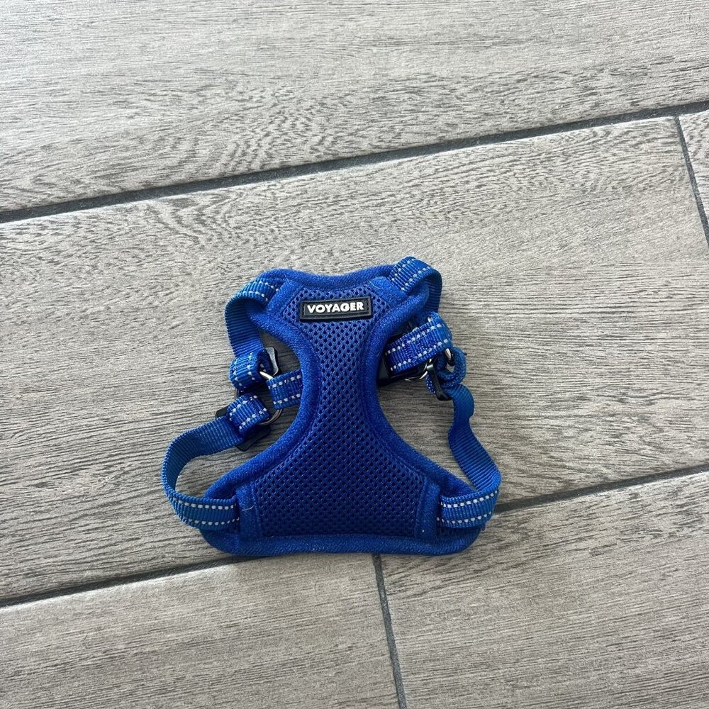 Voyager Blue Puppy Harness Size XS (010)